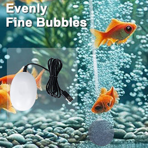 【📍Série pour Aquarium📍】Pompe à oxygène USB silencieuse – Moteur en cuivre pur, fonctionnement discret, idéale pour aquariums. Disponible en plusieurs couleurs !