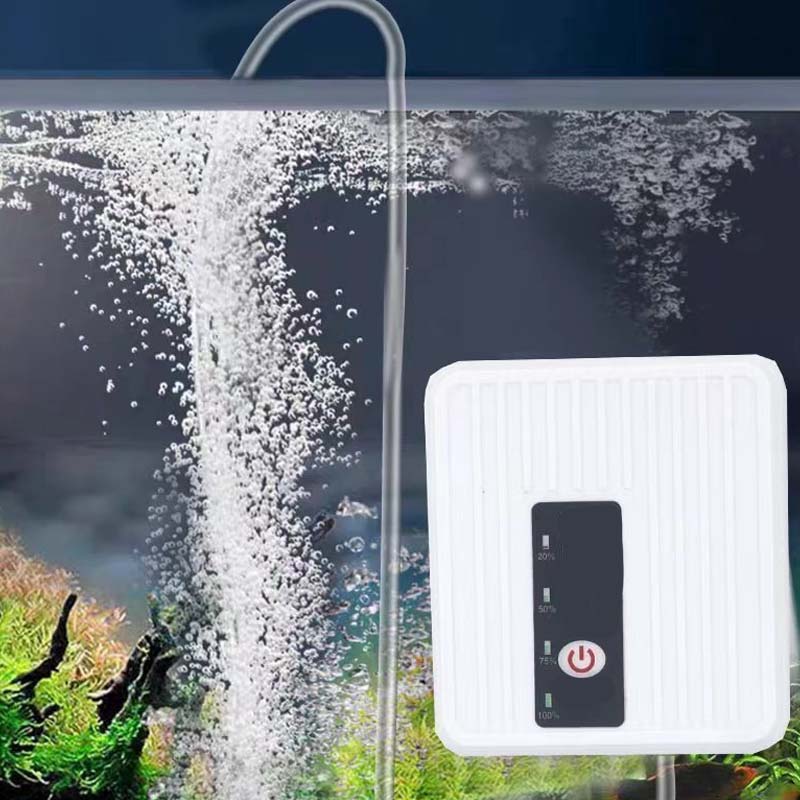 Pompe à Oxygène Compacte et Portable