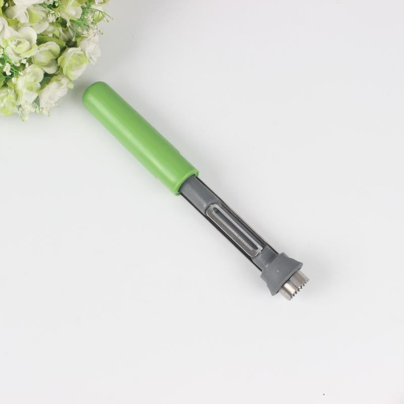 🍎Acier inoxydable Fruit Corer & Peeler 2 en 1🍇Nouvelle conception
