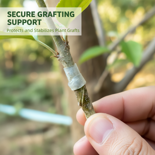 📢📢50% KORTING! 🌱✨ 50 stuks siliconen entingshulzen voor fruitbomen – Hoge slagingskans, biologisch afbreekbaar & zonder gereedschap!